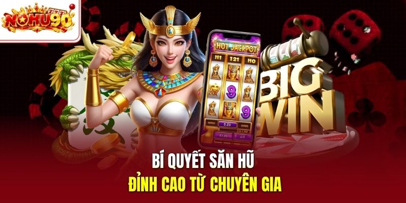 Bí quyết săn hũ đỉnh cao từ chuyên gia
