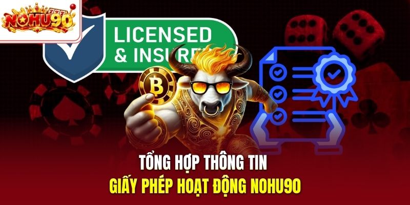Tổng hợp thông tin giấy phép hoạt động nohu90